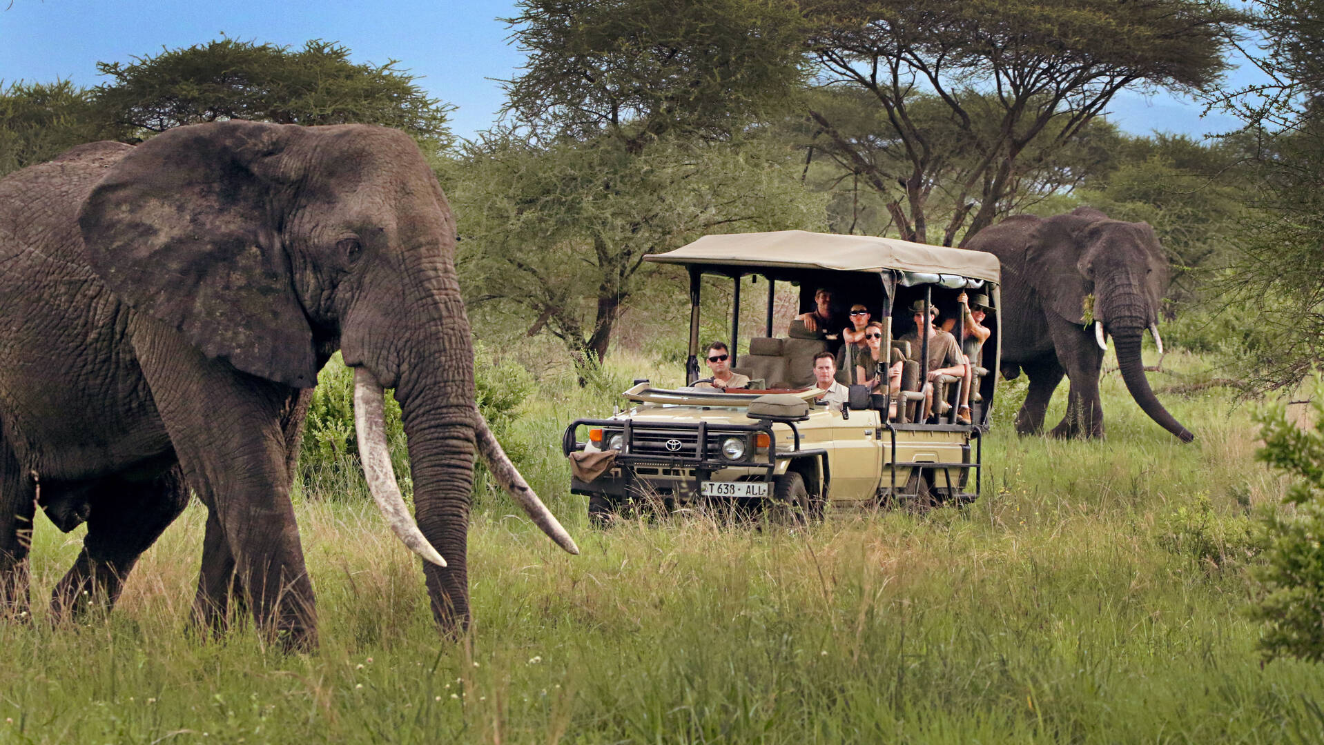 tanzania-safaris_01